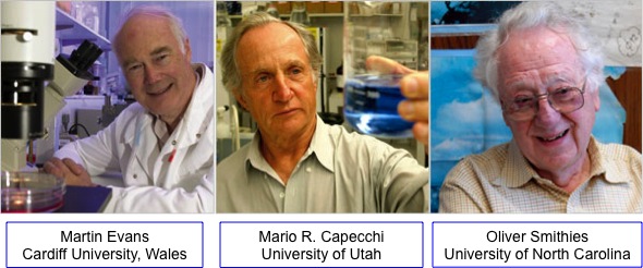 2008 Nobel prize phot