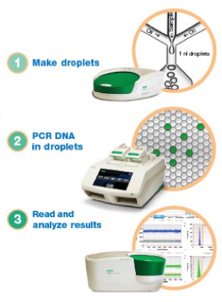 ddpcr-steps.png