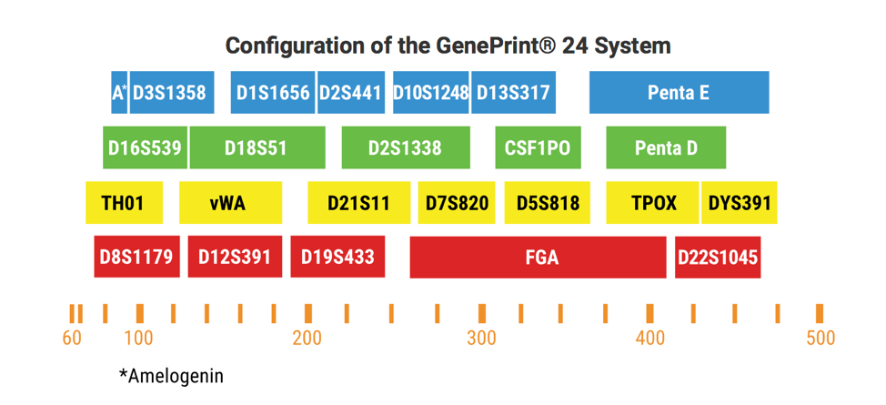 geneprint24.png