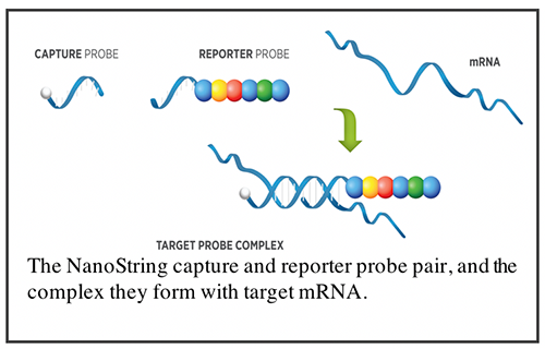 nanostring-target-complex.png